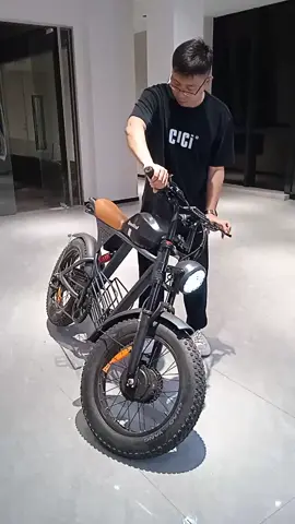 Electric bike 