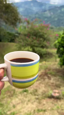 Que bonita es esta vida ☕️🍃✨ #finca #campocolombiano #vidatranquila #Huila #cafe #cafecitoencasa #sueñocolombiano 