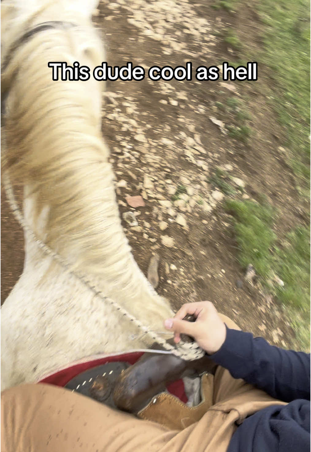 Someone buy me a horse please!       #fyp #fy #viral #blowthisup #foryoupage 