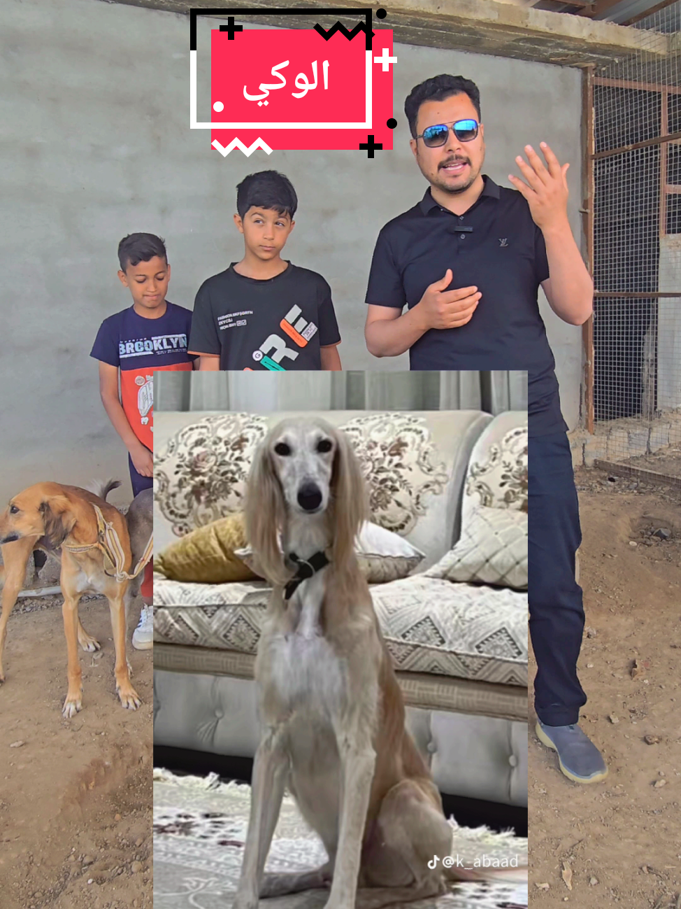 هم شايف لوكي  #لوكي #سلوقي #العراق #نكته #كوميدي #ضحك #حيوانات #حيوان #غزلان #غزال #ريم #محميه #فلودير #مواشي #حديقه #نوادر 