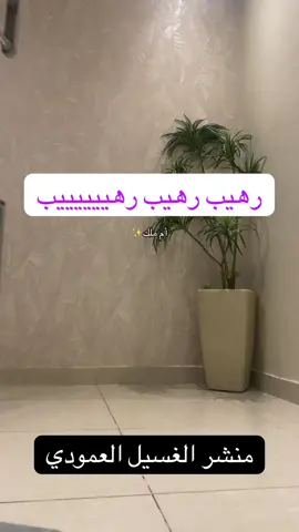 منشر غسيل الملابس العمودي رهيييييب رهيب رهيييييب،، أهلين بنات 😍 أنا أم ملك✨ اليوم وصلتني مناشر غسيل الملابس هذي اخذت قلبي  توفر مساحة  وفيها عجلات سهل تنقليها اي مكان  ( عكس الافقية المعتادة) انا عن نفسي اغرمت فيها لانها حلت مشكلة كبيرة كانت عندي 🥰#فلوقات_أم_ملك✨ #اكسبلور #فلوقات_تيك_توك #تجفيف_الملابس #ترندات_تيك_توك #fyp 