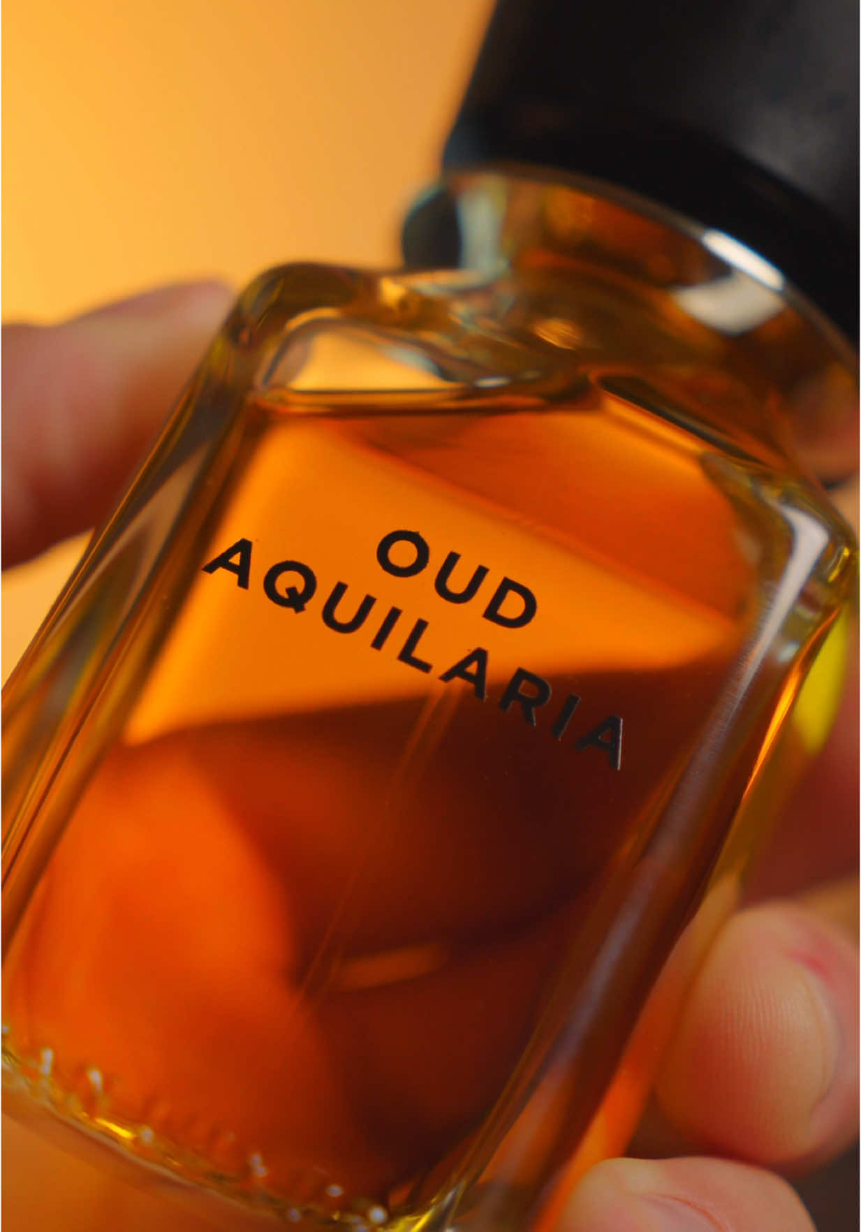 Oud Aquilaria - OmanLuxury 👀 @MAXAROMA #PerfumeLovers #noblemanfragancias #fragancias 