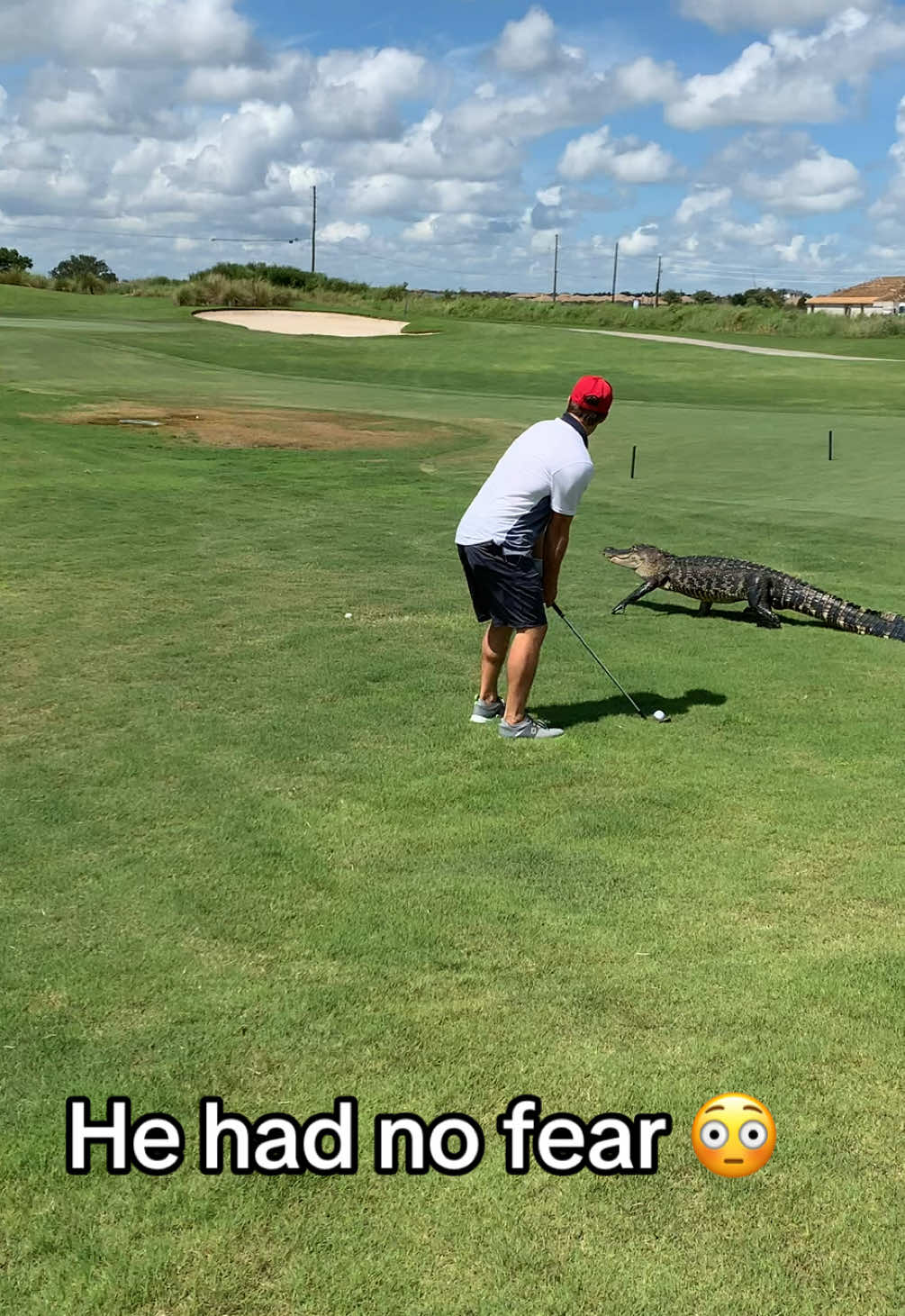 WILD 😱🤯 (@steellafferty) #golf #TheMasters #rorymcilroy #sports 