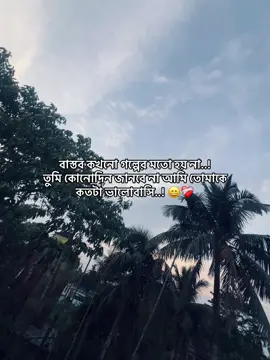 বাস্তব কখনো গল্পের মতো হয় না..! তুমি কোনোদিন জানবে না আমি তোমাকে কতটা ভালোবাসি..! 😄❤️‍🩹 #Alvi_5x #foryou #viral #vaiprofycaramba #kpop 