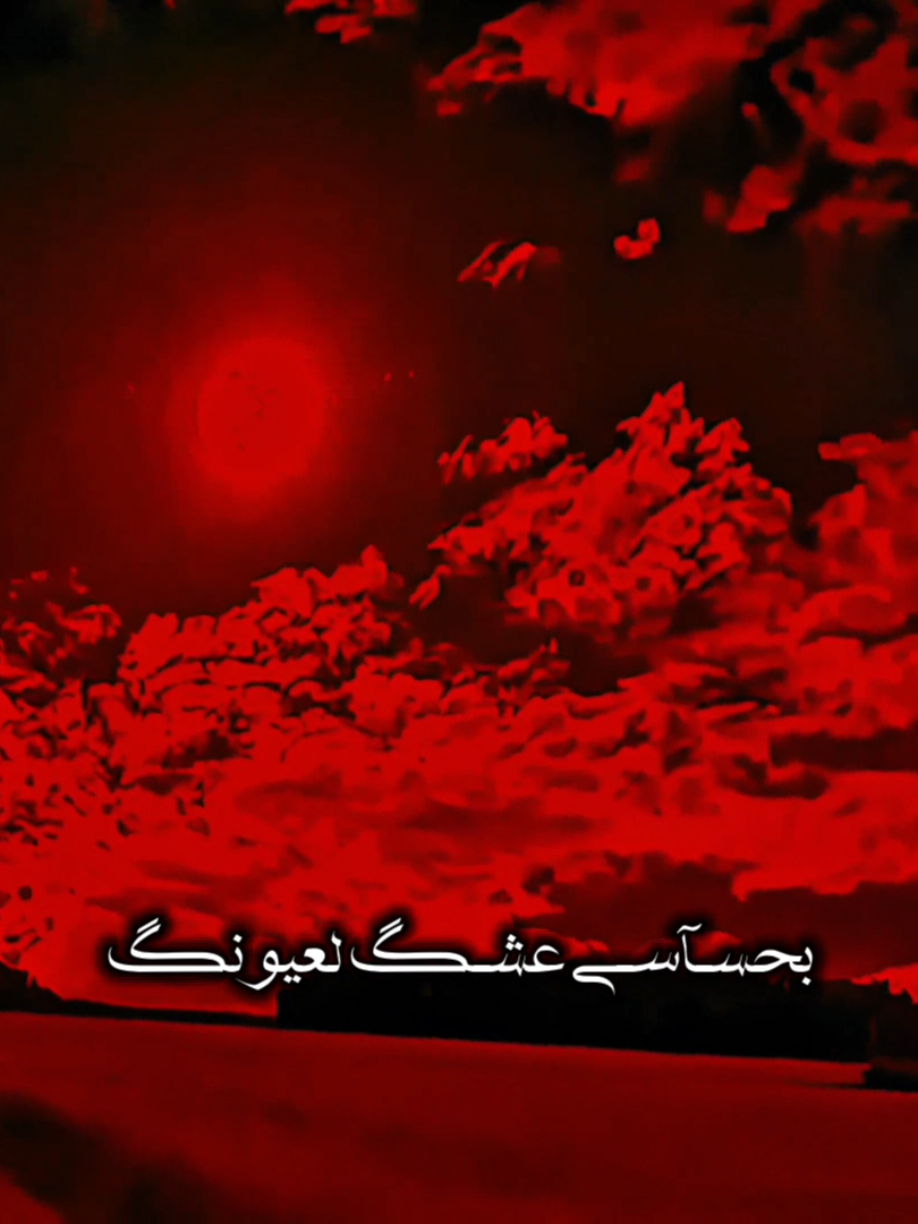 بحسـآسـي عشـگ لعيونگ 🤍🌿             #ضع_سماعتك🎧 #مسلم_الوائلي #قصائد_حسينية #اكسبلورexplore 