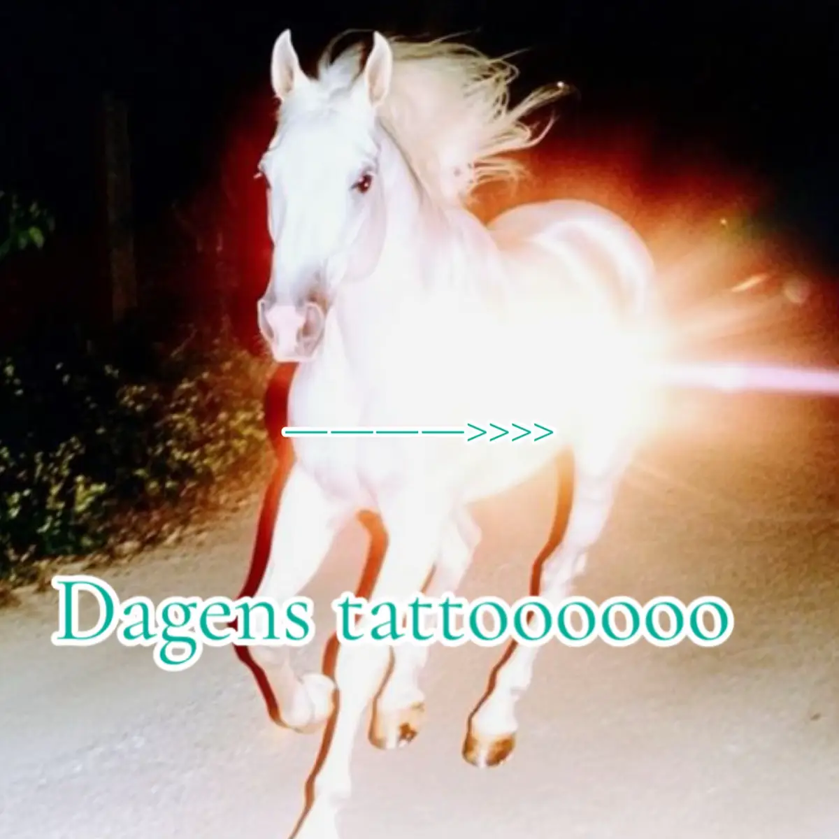 Ye ye ye #tattoo #foryou #fyp #oslo #tattoos 