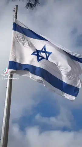 my real flag🇮🇱#thankyouhaashem✡️🙏 #freehostages🎗️😓 #amisraelchai✡️🇮🇱 #somalijews🕎✡️ #IDF✡️THEY✡️PROTECT🤺THE👏WORLD🌍 #shemaisraeladonaforever🕎🙏 