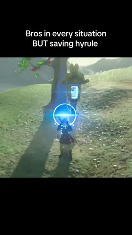The things I put him through #botw #breathofthewild #totk #tearsofthekingdom #loz #legendofzelda #link #zelda #botwlink #fyp #fypシ 
