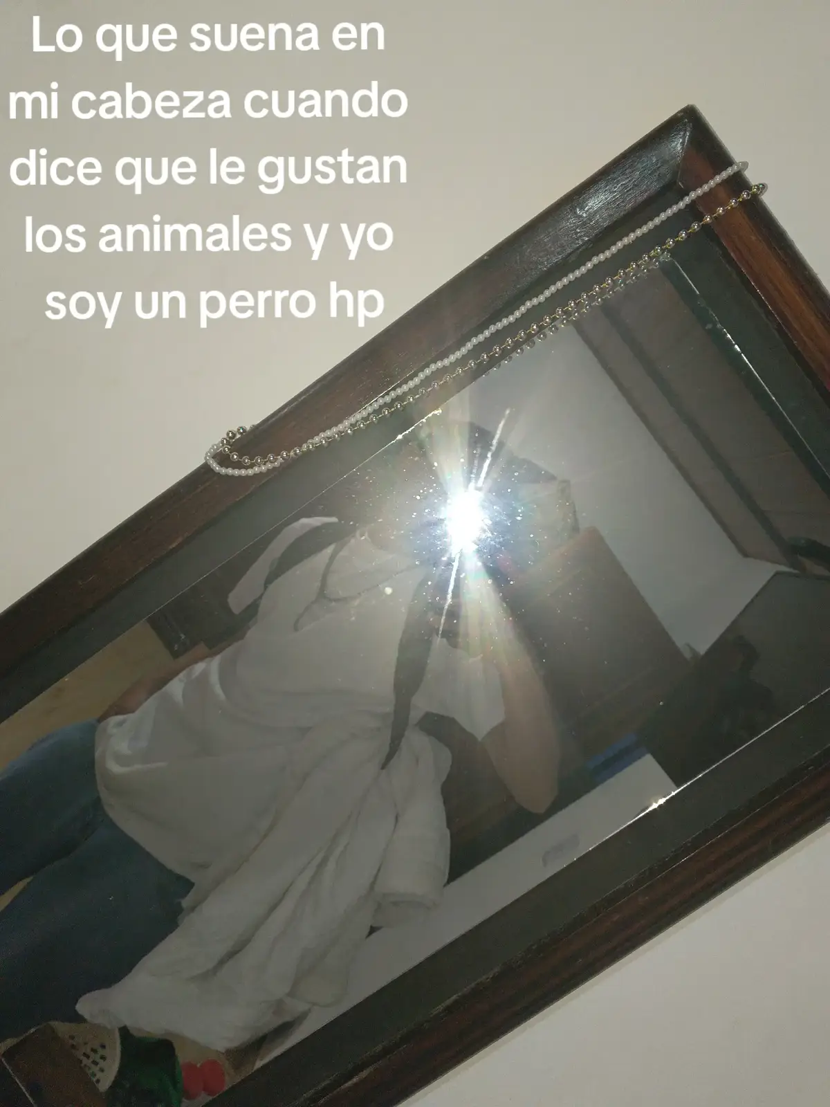 #fyp #parati Me gustaron esas fotos 😾.