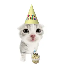 Happy birthday to MEE!! Random edit btw #birthday #FYP #cat #viral #foryou #april14th
