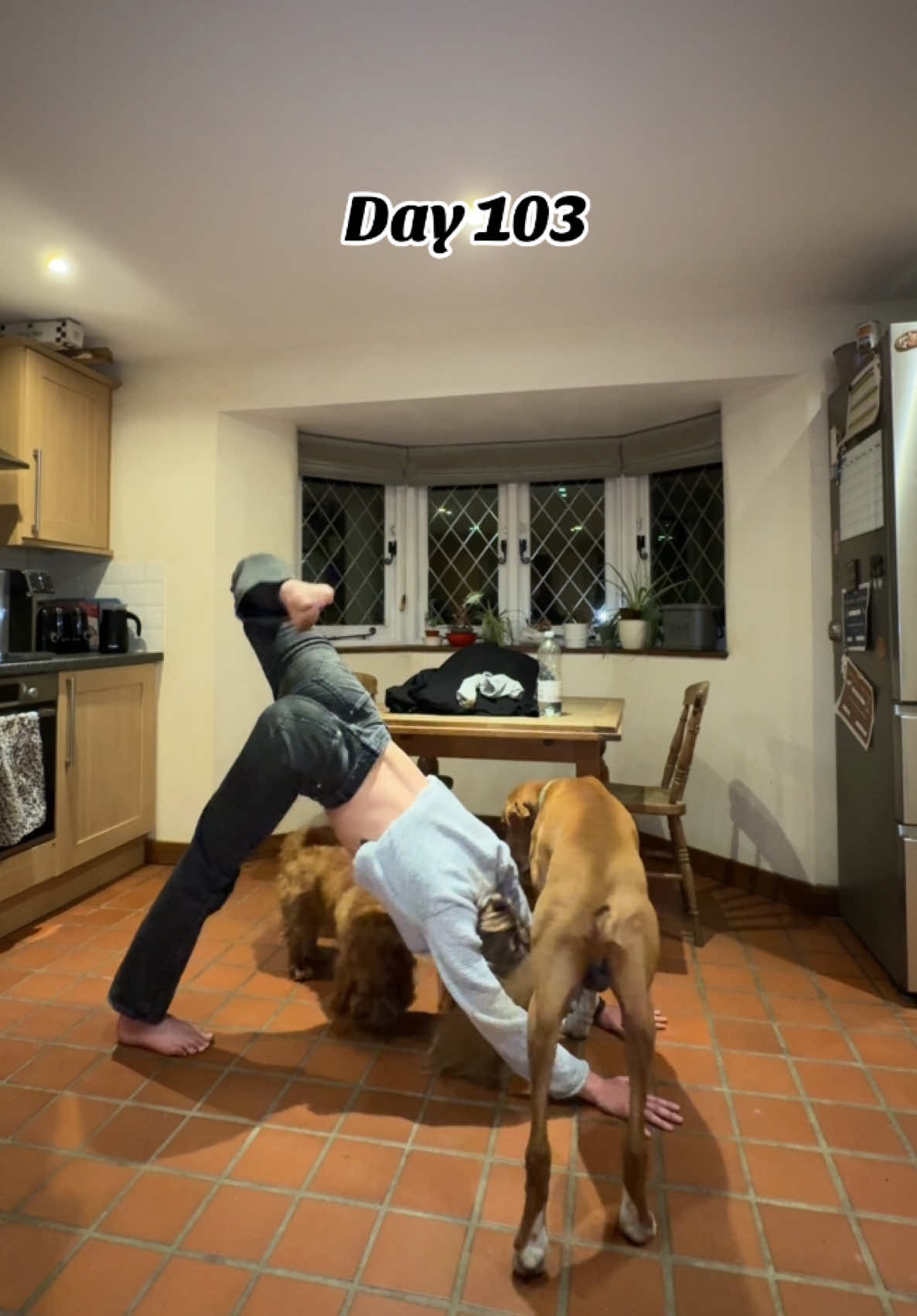 Day 103: 🧘‍♀️  13th April  Incredibly grateful for the life I’m living. This beautiful, ugly, messy,  gorgeous thing we call life 💜  #yogachallenge #365daysofyoga #yogapants #yogainspiration #yogaflow #creatorsearchinsights #StressRelief #yogawithtasmyn #trees #dog #kent #splits # #yogadaily #choosegratitude  #canterbury #pointer 