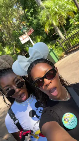 4 parks, 1 Day 😮✨ #disneyworld #magickingdom #animalkingdom #epcot #hollywoodstudios @camisturdi @Disney Parks