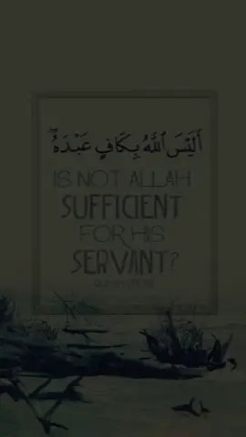 #CapCut #subahanallah #alhamdulillah #allahuakbar #quranrecitation #quran_alkarim #islamicvideo #alhamdulillahforislam #islamtotheworld #alhamdulillahforeverything #deeni_kareem 