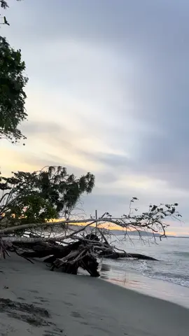 #manokwari #manokwari_papuabarat #manokwaritiktok #pantai #pantaivibes #ambanpantaimanokwari #langitsore #langitaesthetic #sunset #sunsetlover #fyp #fypage #fypdong #fypシ゚ #fyppppppppppppppppppppppp 