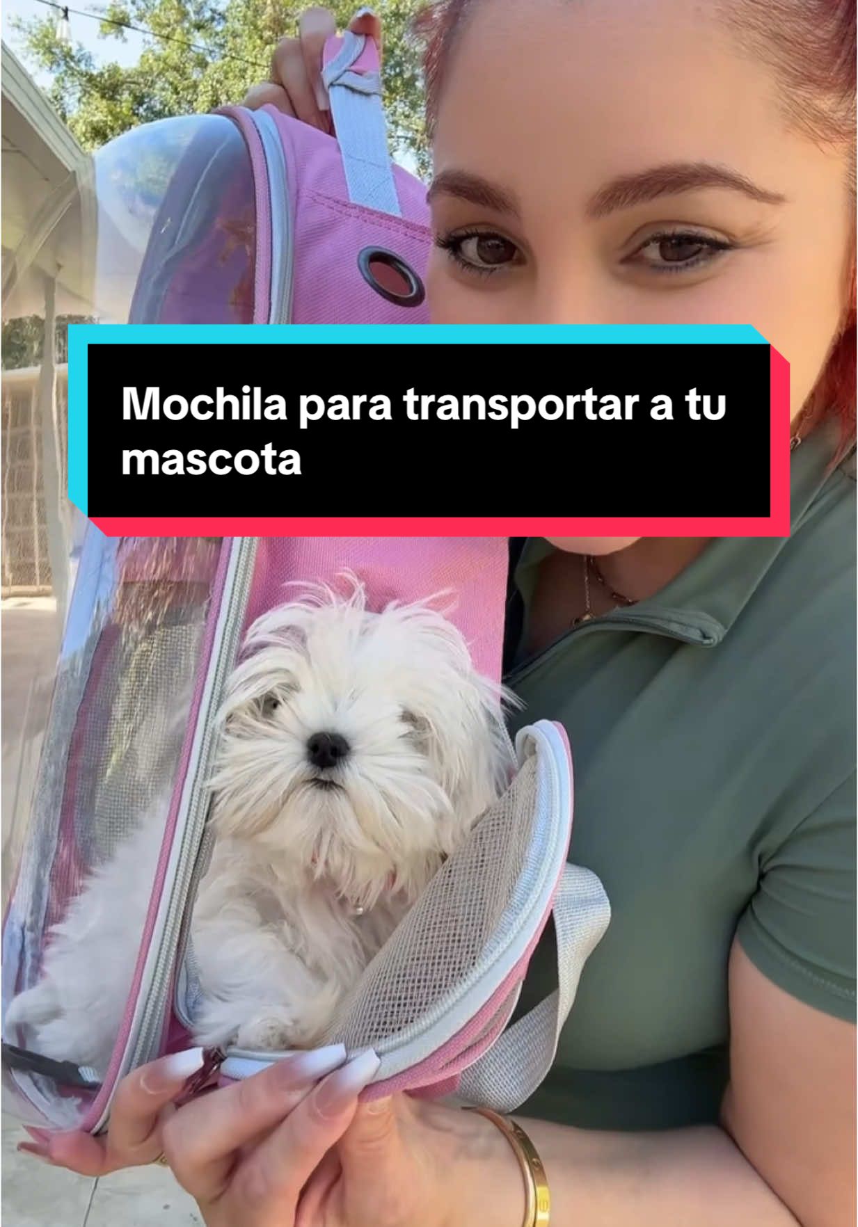 La mochila ideal para llevar a tu mascota a TODOS lados #petcarrier#petbackback#dogcarrier#mochiladeperros#mochiladegato#catbackpack#catcarrier#parrotcarrier 