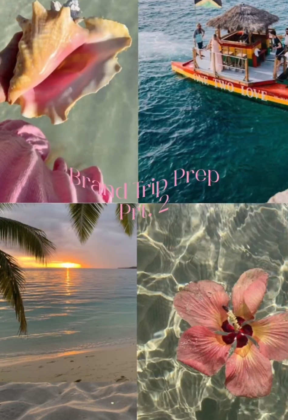 See you in part 3😘 @Island Run Delivery @Tiki Tiki Jamaica #fyp #Waydiabrandprep #brandtrip #tikitikijamaica #islandrun #pink 