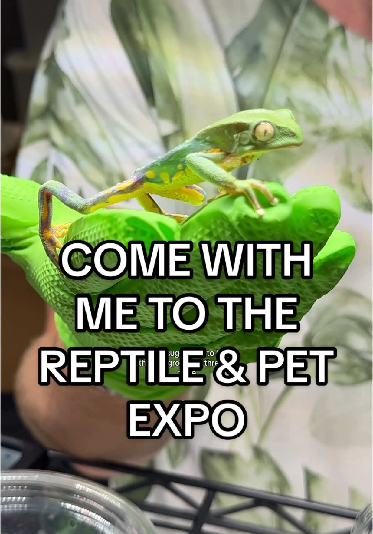 Come with me to the reptile and pet expo🐶🐾🦎🐍 #reptile #PetsOfTikTok #reptileexpo 