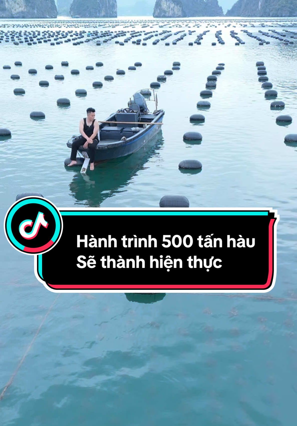 500 tấn hàu sẽ thành hiện thực sau bao ngày vất vả#hàu #hàusữa #reviewhau #trảinghiệm #nuoihau #baovebien #anhthuyentruong 