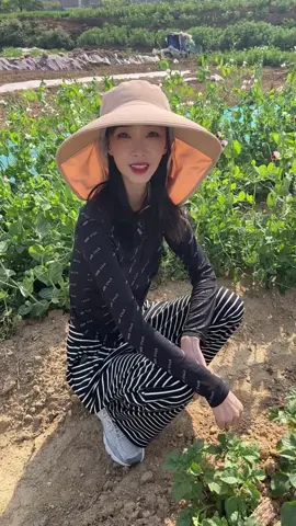 Big brim sun hat new face-covering shawl anti-UV outdoor cycling farm work tea-picking hat