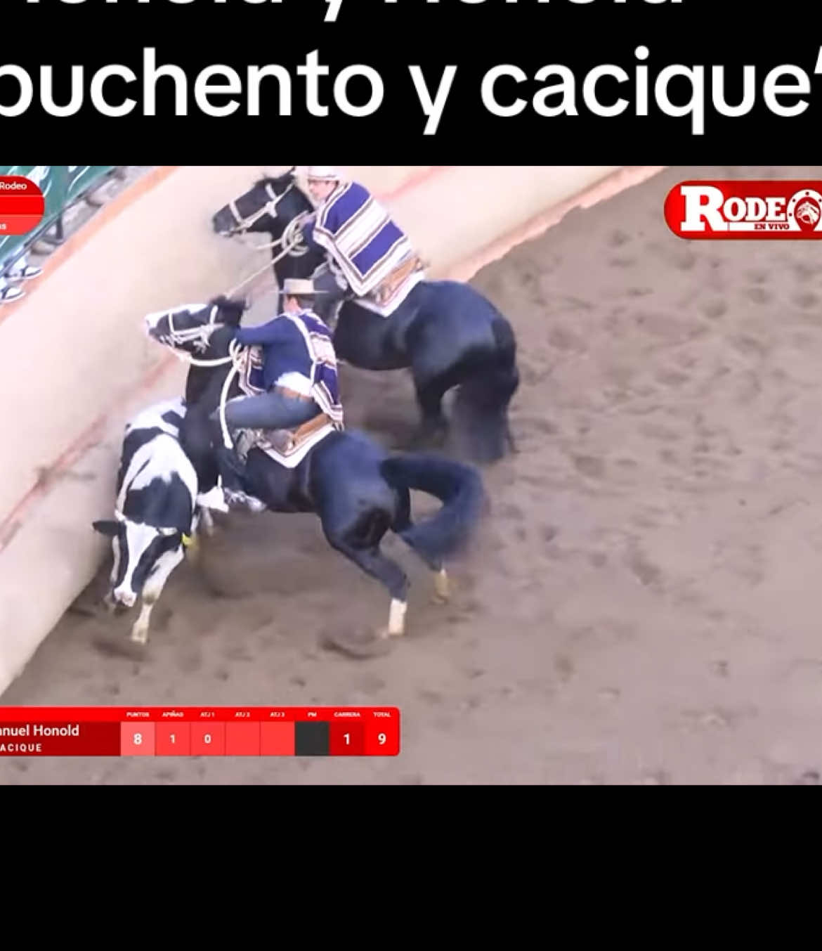 Serie potros #championdechile #huaso #chile #viral 