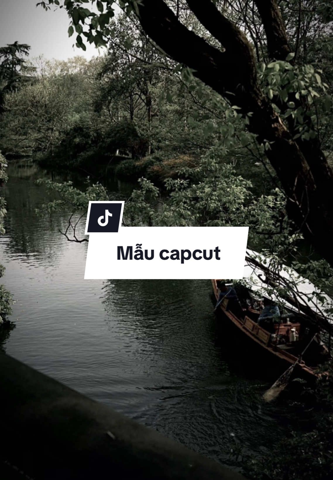 #CapCut mẫu sinh nhật #nhachaymoingay #xuhuongtiktok #maucapcut #nguythang 