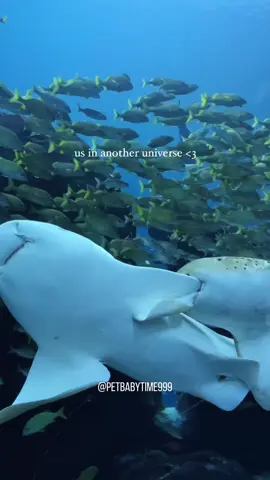 Us in another universe 🥰💕#usinanotheruniverse #foryou #friends 