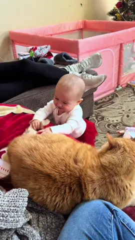 Baby and cat playing rough#babytiktok #tolddersbeingfunny #livewallpaper #day #funnybaby #moments #cats #babylove #adorable 