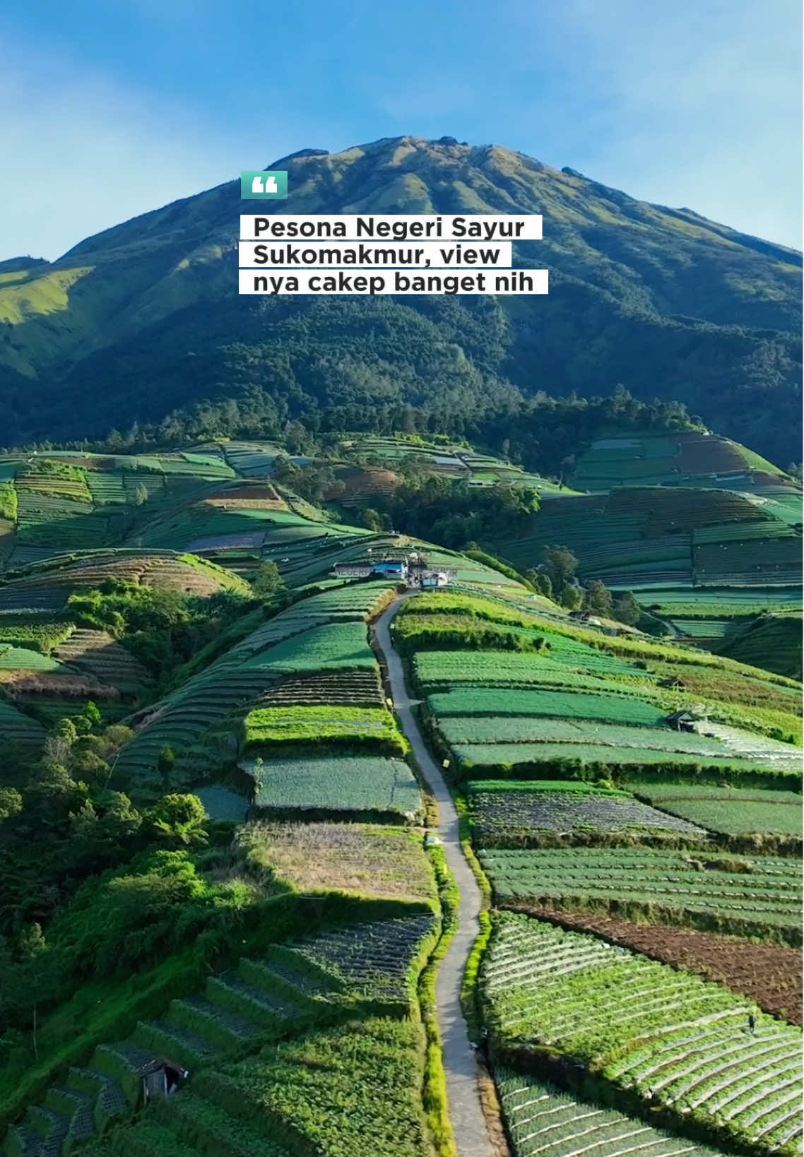 Ternyata se-indah ini view nya guys🍃 Tips kalo mau dapet view cerah kaya gini harus dateng nya pagi-pagi banget, jangan lupa pake jaket tebal biar ngga kedinginan🥶 📍Negeri Sayur Sukomakmur #magelang #sumbing #sumbingmountain  #gunung #sukomakmur #dronevideo #fypシ゚ 