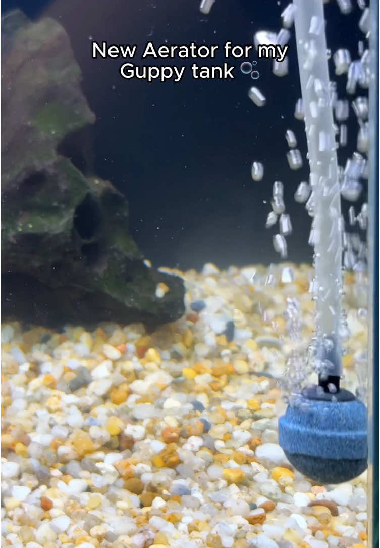 The world tiniest aerator 😍 #aquarium #aquariumfish #fishtank 