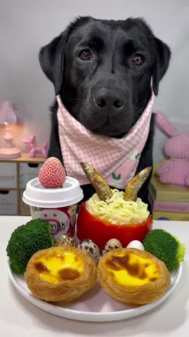 #labrador #cute #dog #pet #feed 