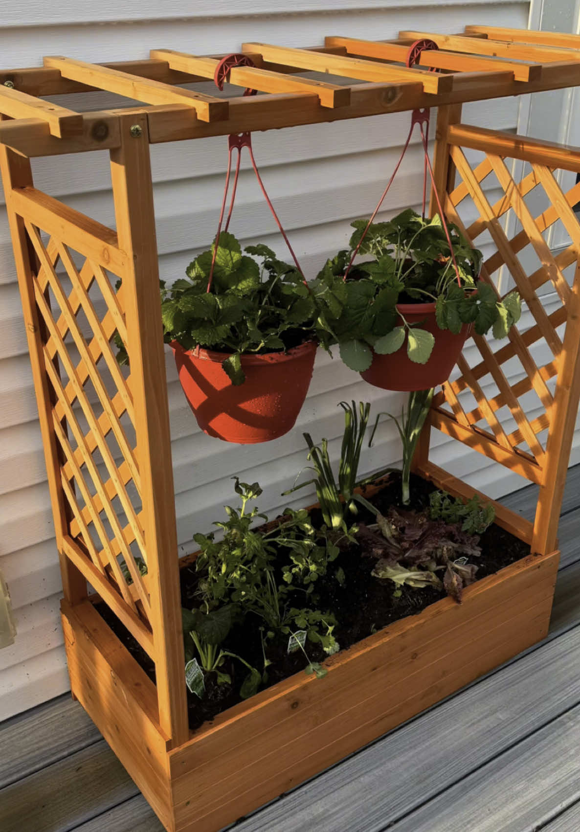 This raised garden bed from @GARVEE completely transformed my outdoor space! Easy to assemble, super sturdy, and the trellis is perfect for supporting climbing plants or hanging strawberries like I did! Whether you’re growing herbs, veggies, or just getting started — this planter makes it simple and stylish. Shop it here: https://amzn.to/4lxwCza #AmazonFinds #GardenGoals #RaisedGardenBed #VegetableGarden #UrbanGardening #SpringVibes #EasyGardening #Ad #MotherReviews #garvee #garveespring