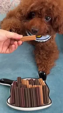 Xương gặm sạch răng cho chó mèo #cute #cutedog #puppy #puppydog #doglover #animals #thucung #abcxyz 