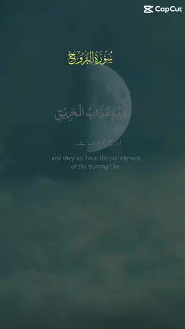 Quran #islam #fyp 