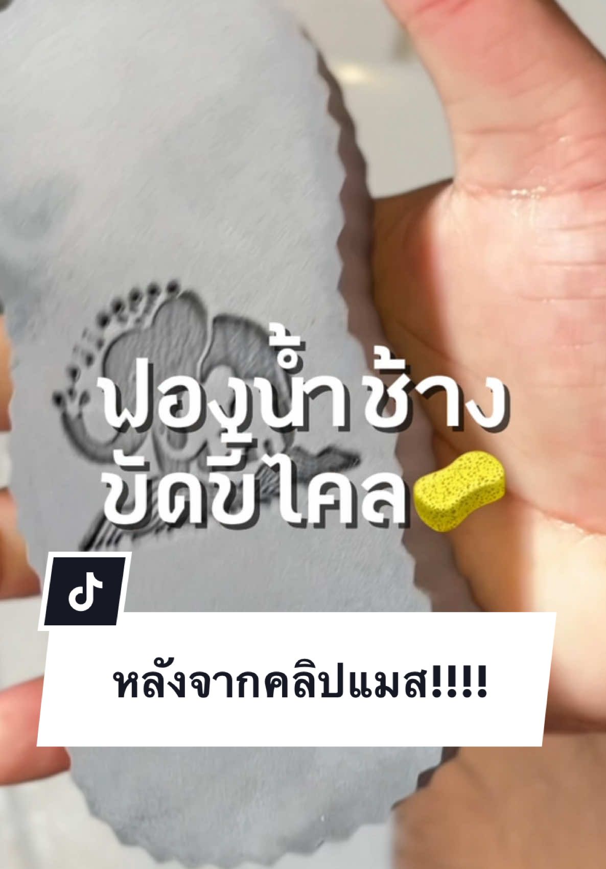 หลังจากคลิปแมสไปแล้ว!!!  @พ่อบ้านOfficial🦺👨🏻‍🍼  @พ่อบ้านOfficial🦺👨🏻‍🍼  #ฟองน้ําขัดตัว #ฟองน้ำช้าง #ขัดตัว #ขี้ไคลหลุดกระจาย #ขี้ไคล #รีวิวของดีบอกต่อ #ของใช้ในบ้าน #ดันขึ้นฟีดที 