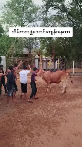 #အကျနေ့အခြေအနေ🙁🙁🙁🙁 