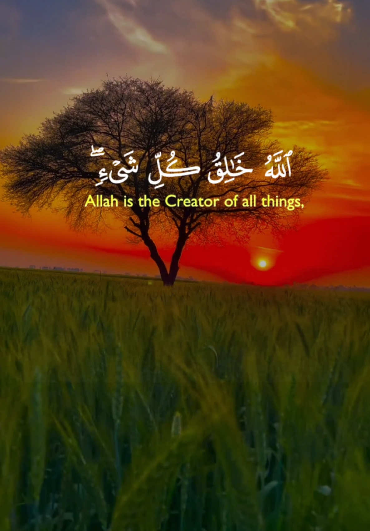 #CapCut #zikr_and_noor #muslimtiktok #islam #allah #prophetemuhammad #quran 