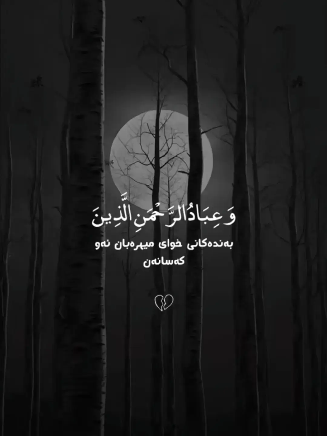 قورئانی پیرۆز❤🫀#قورئان_الکریم #الله_اكبر #سەلاوات_لە_بیر_مەکەن❤️🕋🕌📿🤲🧡 #اكسبلور #foryou #شعب_الصيني_ماله_حل😂😂 #ئەکتیڤبن🥀🖤ـہہـ٨ــہ 
