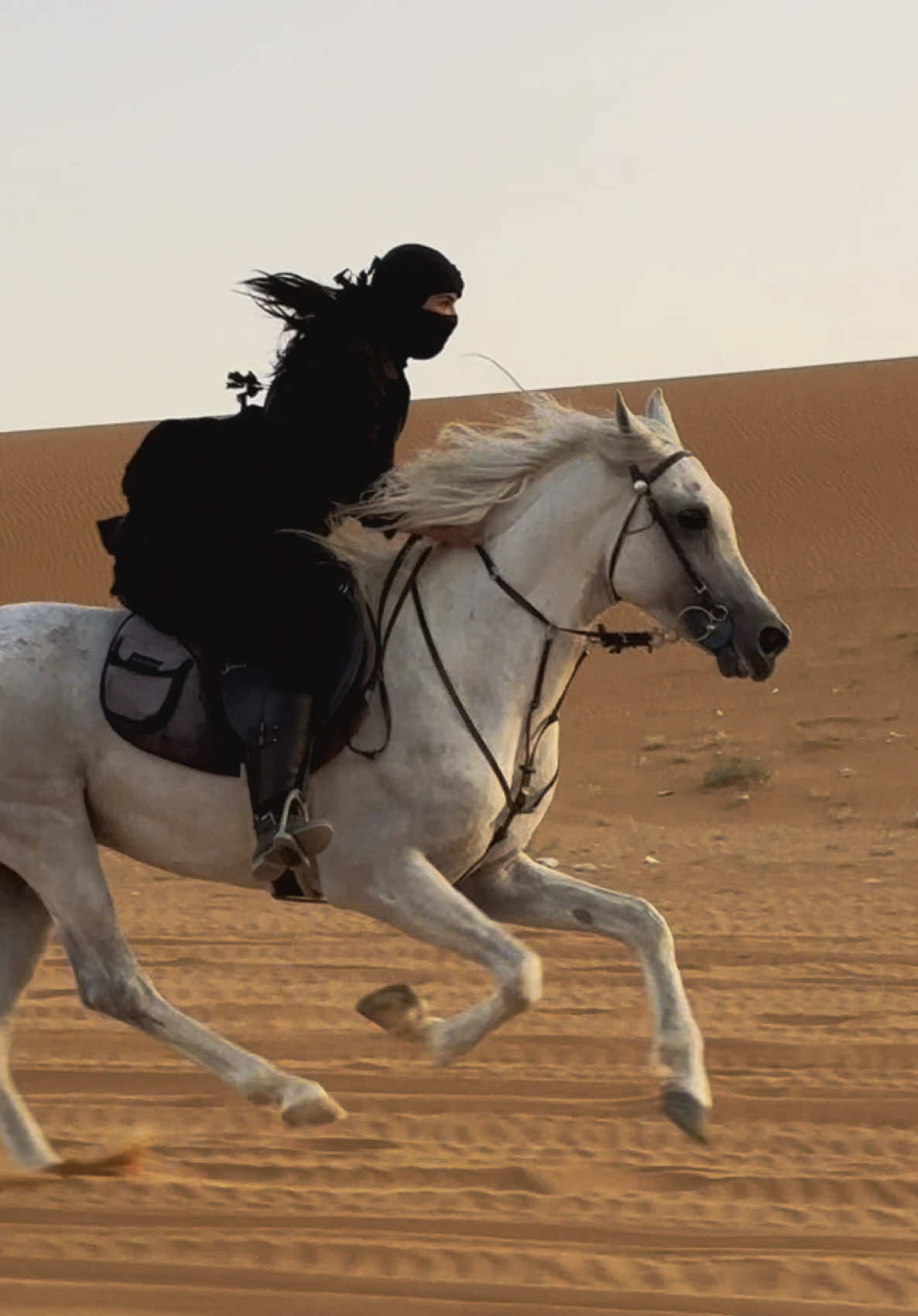انطلاقه خفيفه عن خاطر الحصان بس 💙#فخر #خيل_وخياله🐎 #خيل #خيل_عربي_اصيل #اكسبلور #تصوير @رائد القاسم 1🐎📸 