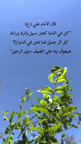 #اقوال_الامام_علي_عليه_السلام #اقوال_وحكم_الامام_علي_عليه_الاسلام #مقولات_الامام_علي #عباس_داود #اشهد_ان_علياً_ولي_الله 