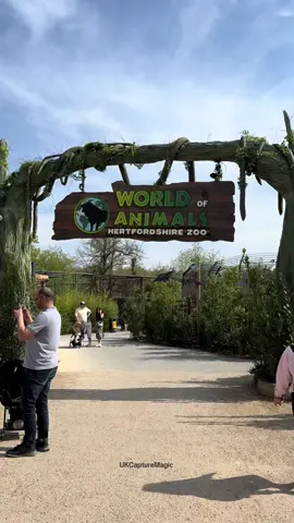 A Wild Day Out Just Outside London! If you’re looking for the perfect family day trip from London, look no further than Hertfordshire Zoo (formerly Paradise Wildlife Park)! Located in Broxbourne, this hidden gem offers up-close encounters with lions, tigers, zebras, red pandas, and even dinosaurs at their World of Dinosaurs trail! How to get there from London: 	•	Train: Hop on a train from London Liverpool Street to Broxbourne Station (approx. 30 mins), then take a quick 10-min taxi to the zoo. 	•	By car: It’s just under an hour’s drive from Central London via the A10 and M25. Free parking available! What to expect: 	•	Stunning wildlife exhibits 	•	Family-friendly play zones 	•	A splash park for kids in summer 	•	Cafes, picnic areas & even a mini safari train! Ticket prices: Book online for better deals – starting from around £22 for adults and £18 for kids. Perfect for: Family outings, couple adventures, or even a solo escape to nature! Tag someone you’d bring here! Save this post for your next weekend getaway plan.