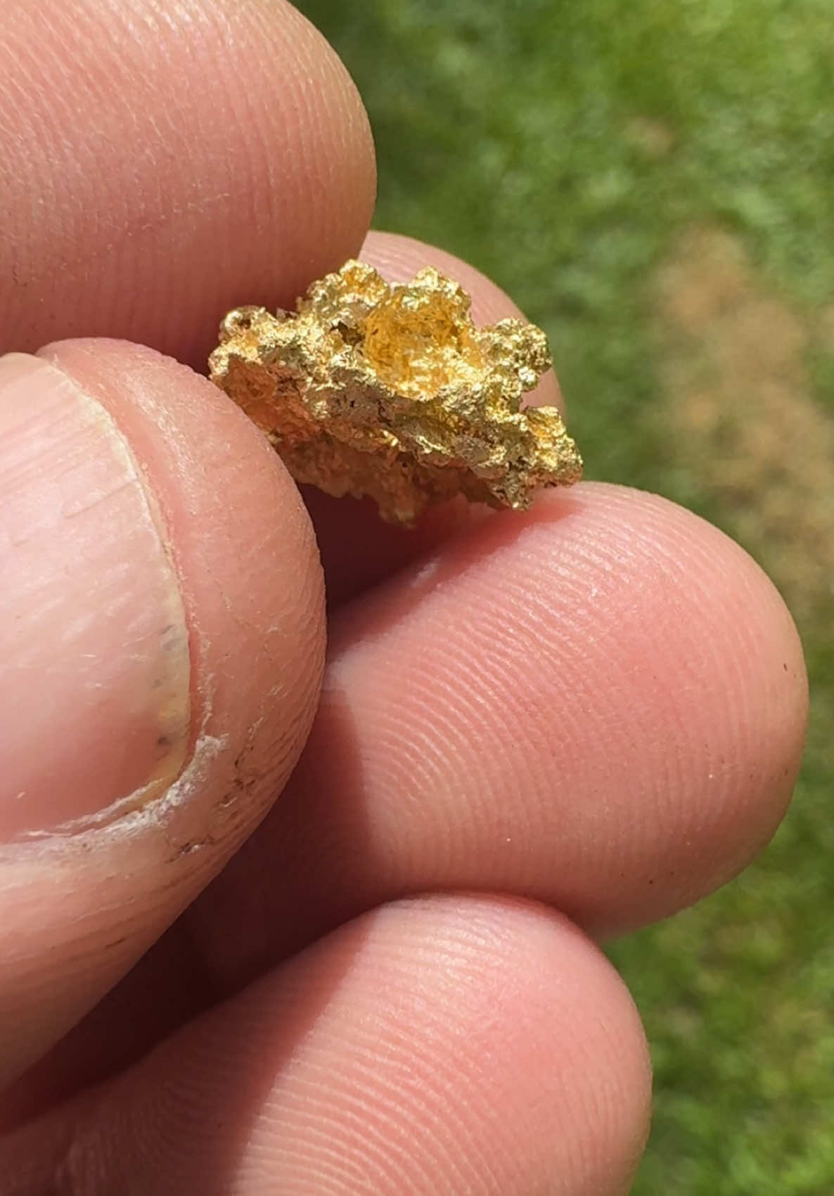 Gold Prospecting NT #topendnt #NT #gold #minelabanz #minelab #darwinnt #prospecting #darwin #prospectinggold #northernterritory 