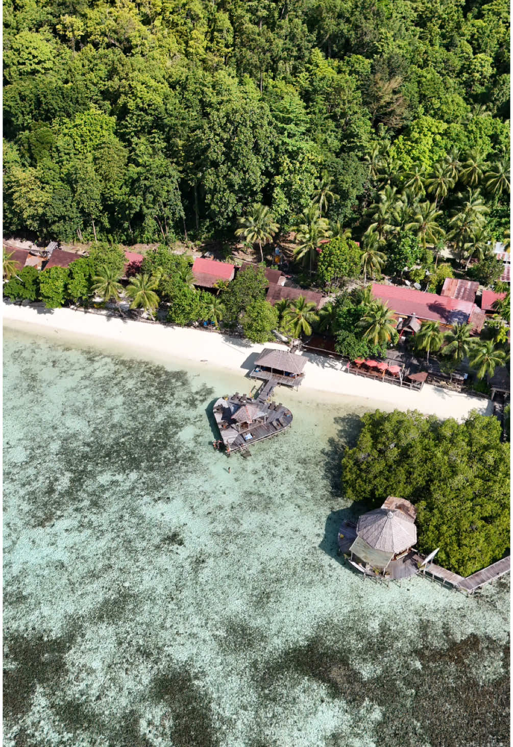 Ever wondered what it’s like to wake up where turquoise waters meet untouched jungle?  Welcome to Mansuar Island—Raja Ampat’s hidden gem! 🏝️🛸 The Raja Ampat Dive Lodge on Mansuar puts you in the heart of the world’s richest coral reefs and vibrant island life.  Did you know this region boasts more marine species than the entire Caribbean? Here, every dive or snorkel is a front-row show to nature’s greatest spectacle! 🐟🌊 #MansuarIsland #RajaAmpatDiveLodge #RajaAmpat #DroneParadise #UnderwaterWonderland #secret #secretgetaway #castaway #beautifuldestinations #fyp #bucketlist #paradise #drone #Traveltok #paratii #hiddengems #ditchttt