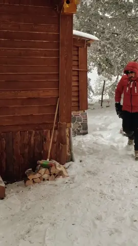 Surviving in Extreme Cold and Snowstorm#build #bushcraft #fyp #outdoor #wildernesscrafters #shelter