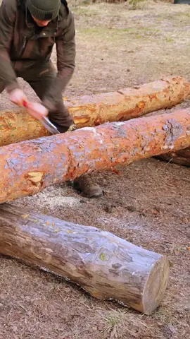Building  Log roof for my log cabin part 1#build #bushcraft #fyp #outdoor #wildernesscrafters #shelter