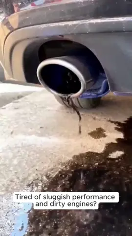 Rayhong automotive ternary catalytic cleaner engine internal clean exhaust carbon removal cleaning agent Diesel Additive Degreaser