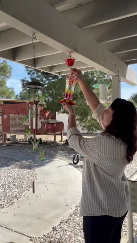 How often do you refill your hummingbird feeder? ❤️ For the hummingbird food you can mix 1 part sugar with 4 parts water. The feeder is so easy to clean and the hummingbirds love it! #hummingbird #hummingbirdfeeder #kingsyardfeeder #wildbirds #naturelover #fyp 