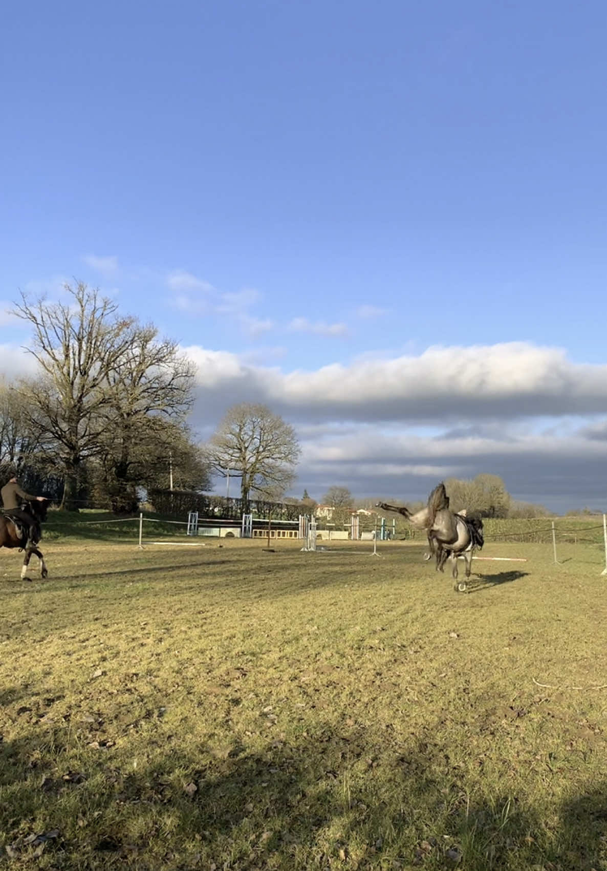 « Nous avons presque oublié combien il est étonnant qu’un animal aussi grand, aussi puissant et aussi intelligent, puisse accepter sur son dos un autre animal tellement plus faible! » Peter Gray  • Ce cheval est pour moi une leçon de vie! Merci mon Volteo 🙏🏼🤩  #horse #horseshow #horsevideo 