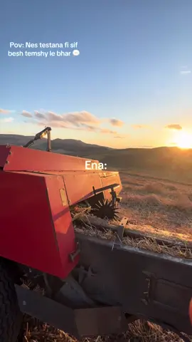 🌅