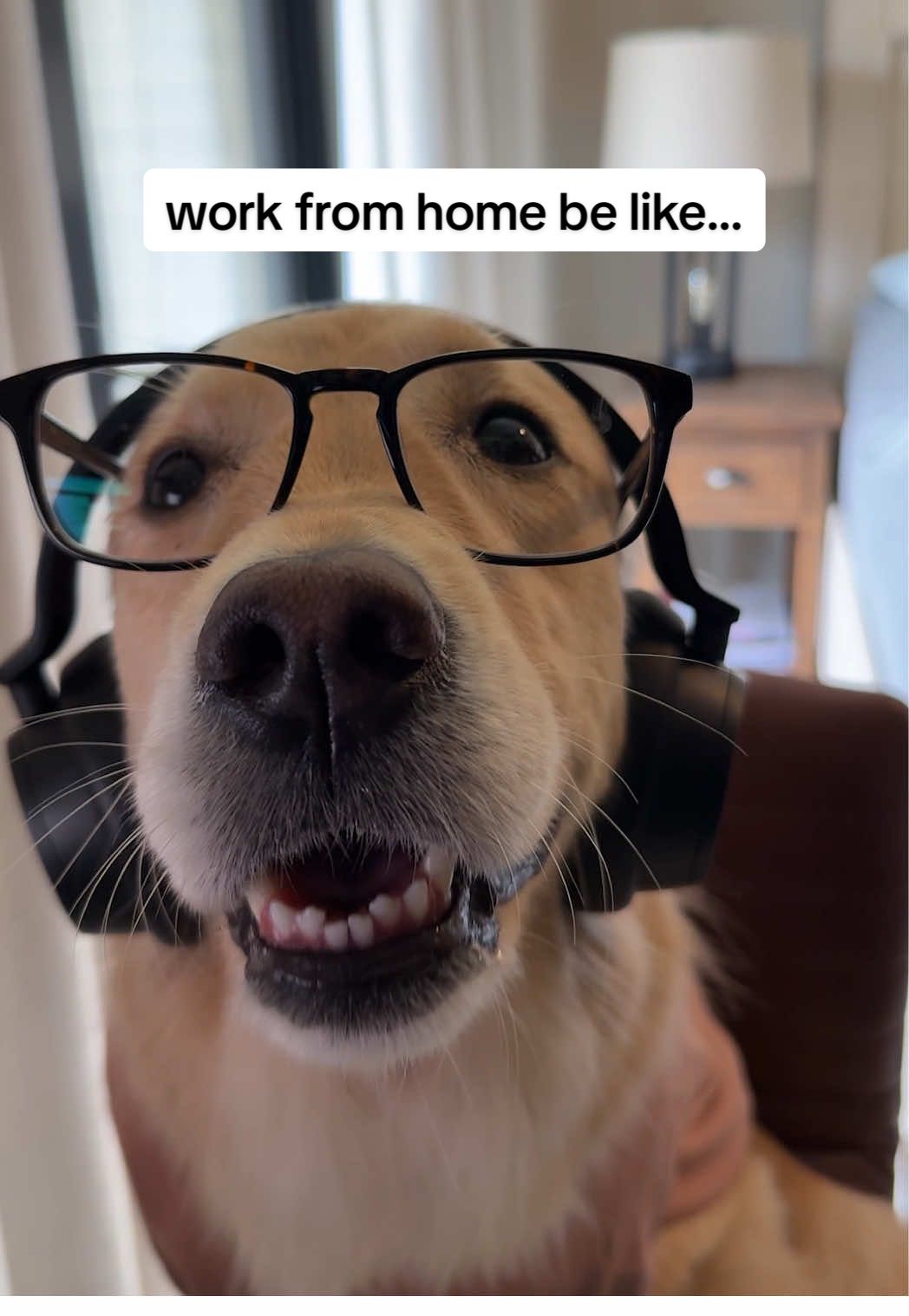 sorry my computer is about to restart!