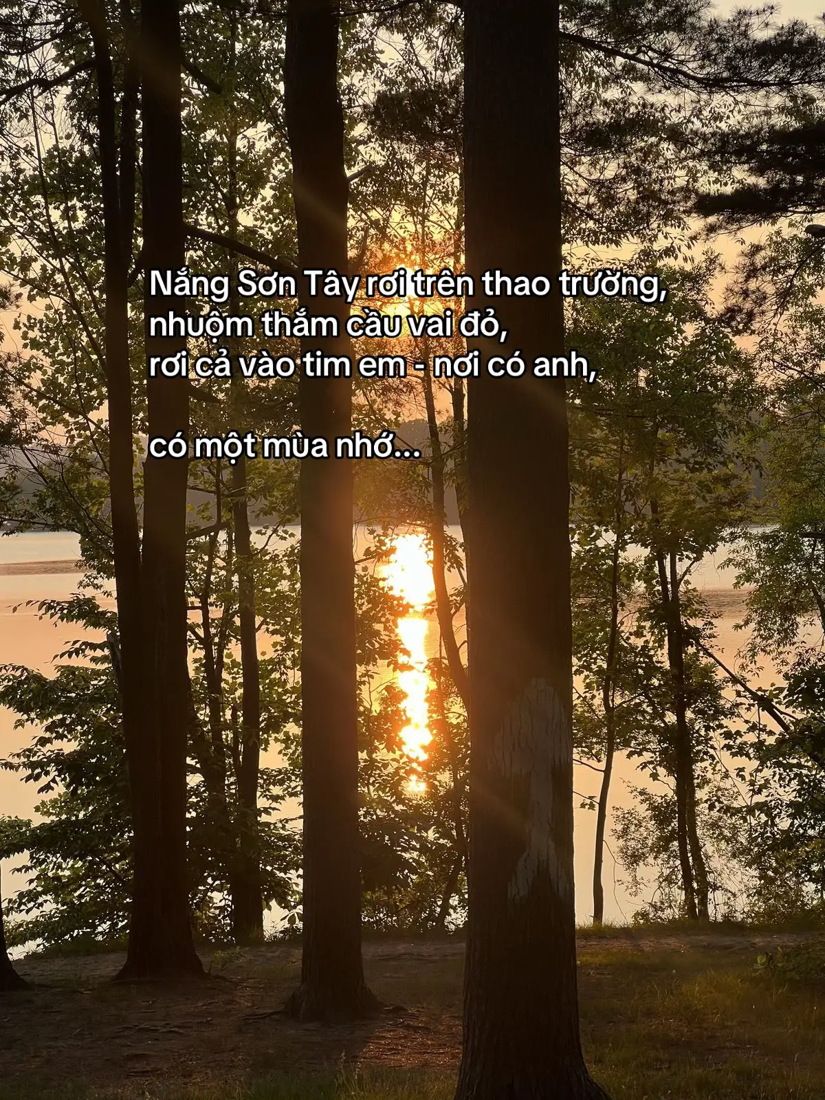 mùa nhớ 💗#quandoinhandanvietnam🇻🇳🇻🇳🇻🇳 #yeubodoi #hauphuonghaucan #viral 